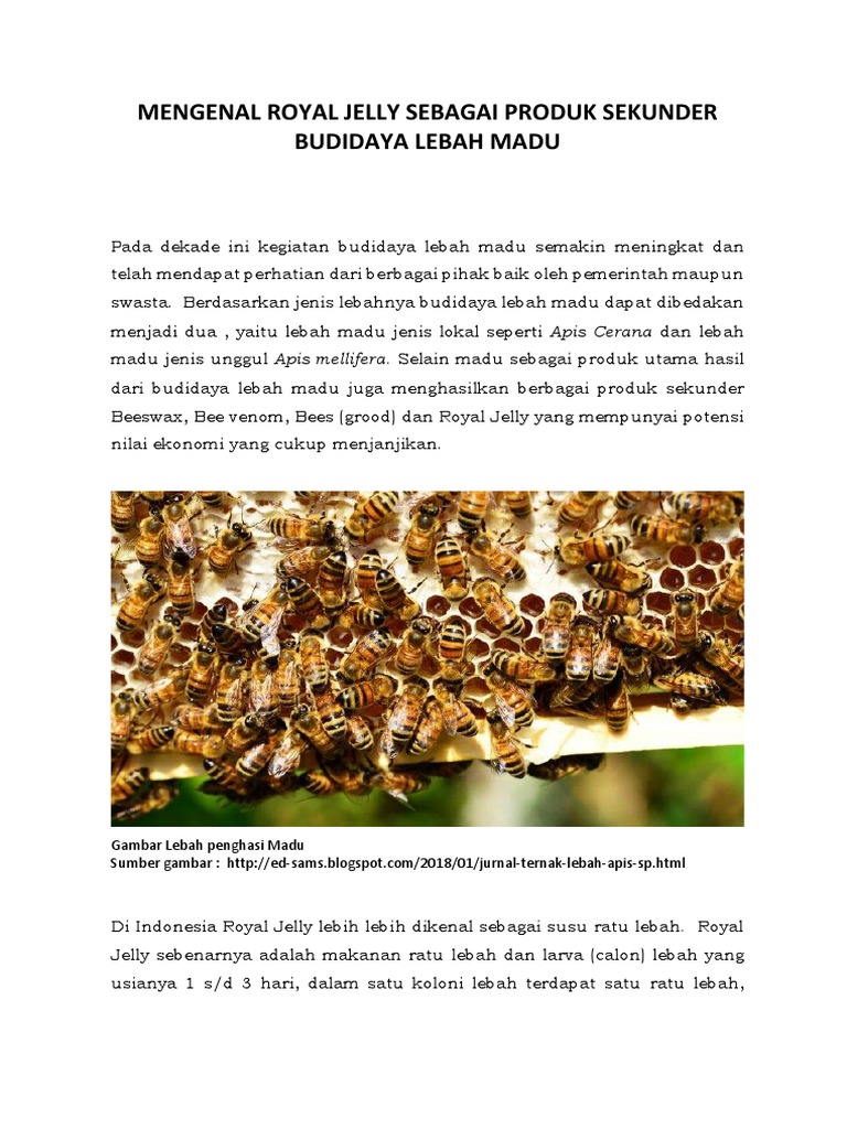 Mengenal Royal Jelly PDF