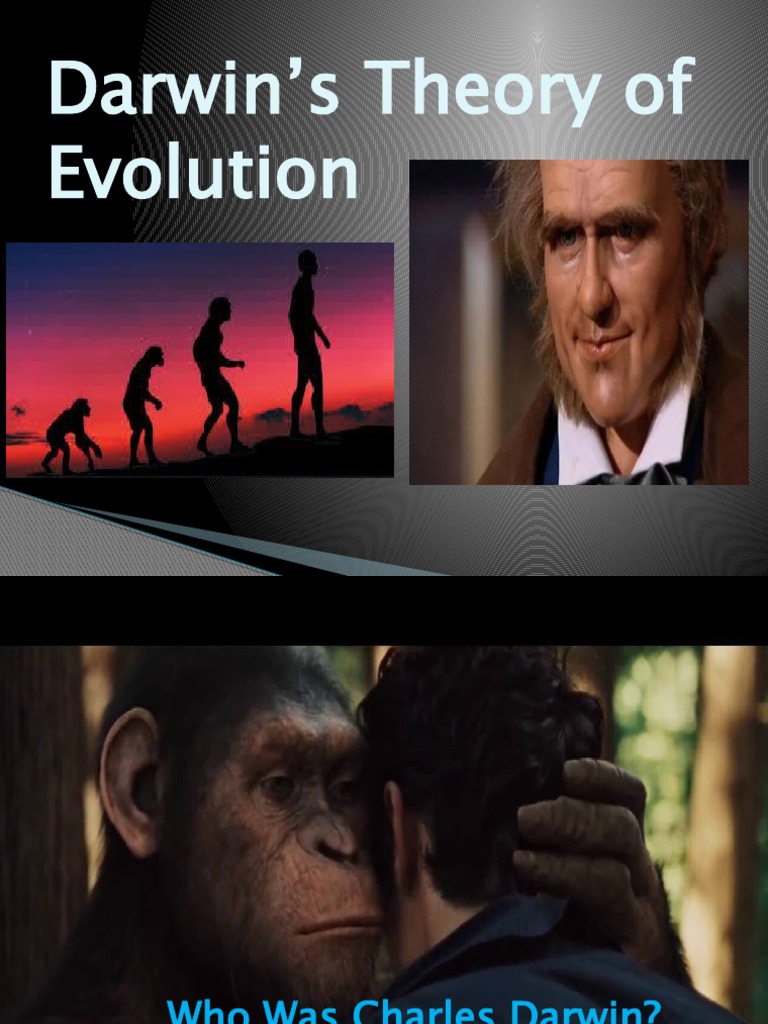 Charles Darwin Theory of Evolution NEW PDF Evolution Homo