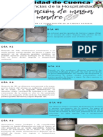 Infograma Masa Madre