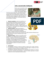 S07.s1 - Atención y Concentración e Inteligencia