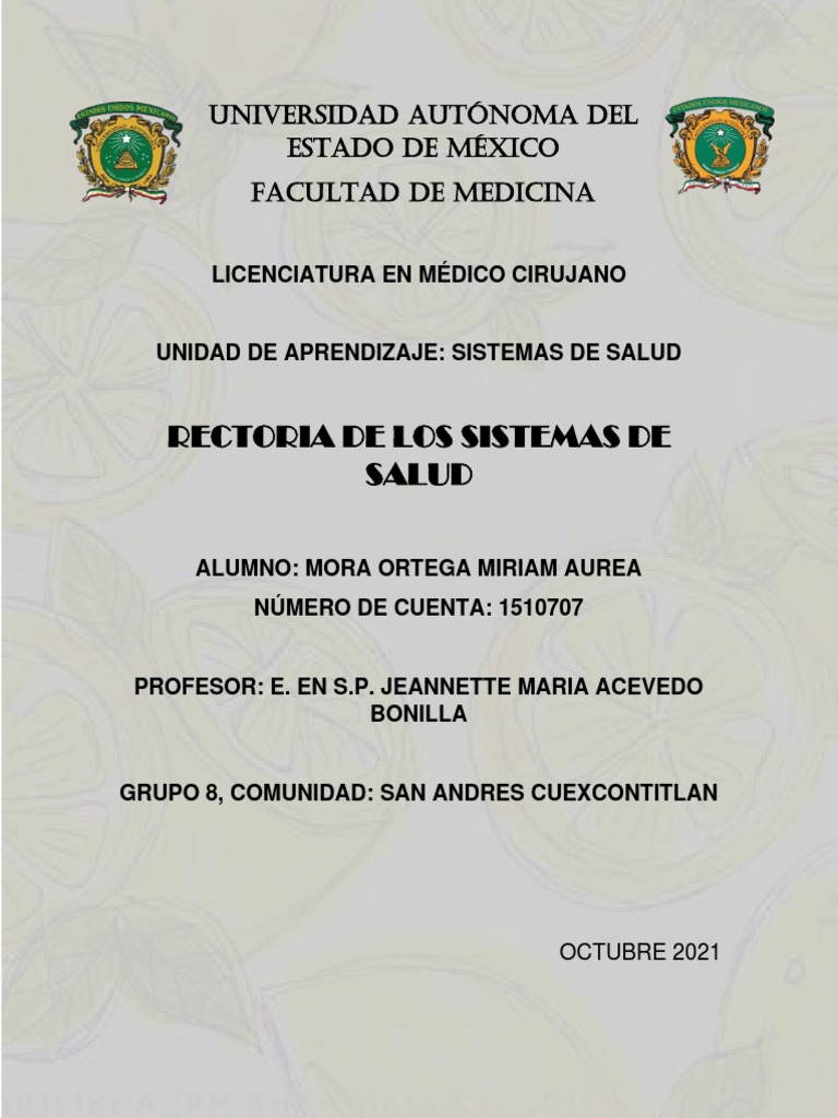 Rectoría del Sistema de Salud en México | PDF | Enfermería | Cuidado de ...