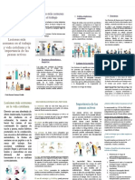 PDF Solucion Folleto de Lesiones Mas Comunes en El Trabajo o Vida Cotidiana y DD