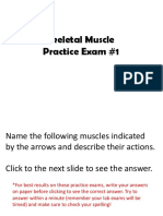 Skeletal Muscle Practice Exam #1