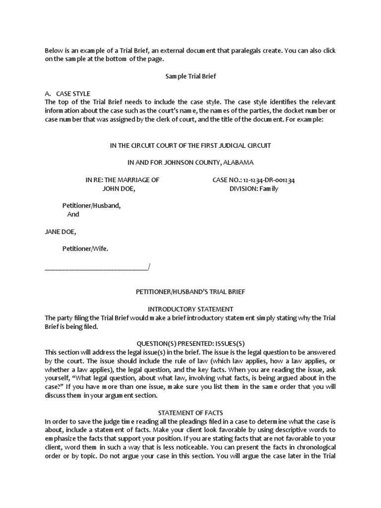 Sample Trial Brief Template Guide | PDF | Brief (Law) | Public Law