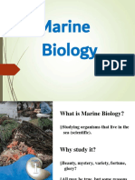 Marine Biology Fundamentals