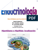 Sistema Endocrino II