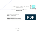 Practica #06 Organo de Los Sentidos de Los Peces Erick