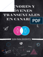 Guía Docente Trans