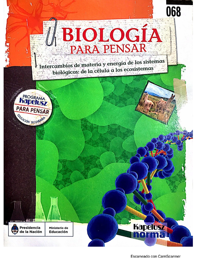 Descarga gratis los libros de Kapelusz para primaria en formato PDF