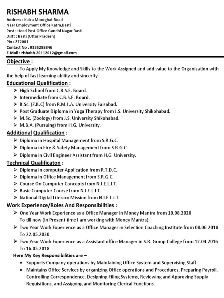 RISHABH CV Manager | PDF | Computing