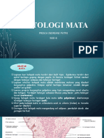 Histologi Mata