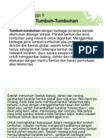 Materi MG 9 Tumbuh-Tumbuhan