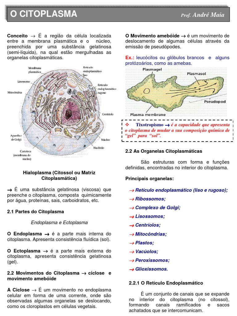 PPT - FOTOSSÍNTESE PowerPoint Presentation, free download - ID:5949369, image size:768x1024