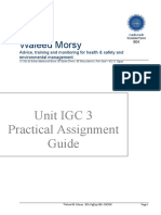 Waleed Morsy: Unit IGC 3 Practical Assignment Guide