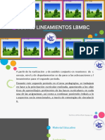 PPT Lineamientos