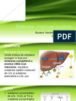 Proiect Nechifordelia C28 Final