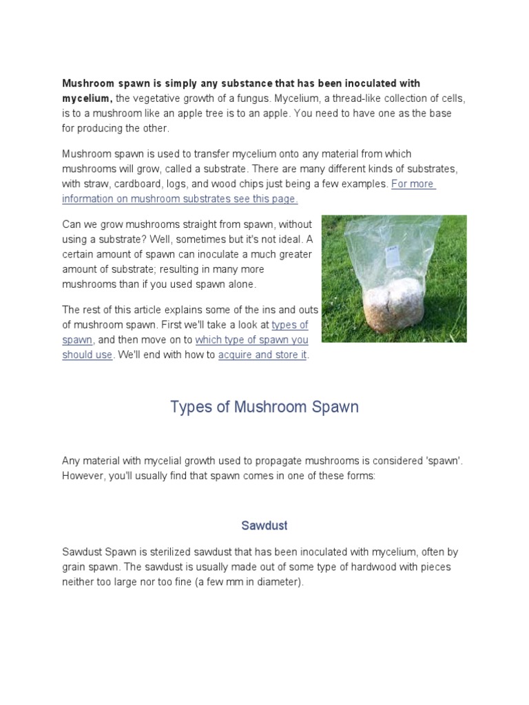 Types of Mushroom Spawn | PDF | Mushroom