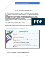 Biologia Transcripcion