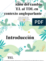 Descripcion Del Cambio Del TEL Al TDL