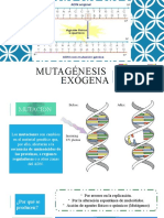 MUTAGENESIS EXÓGENA