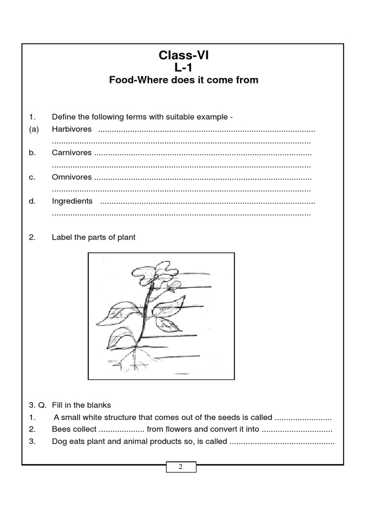 Food Processing Grade 6 Notes