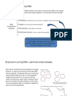 Manipulation of Purified DNA