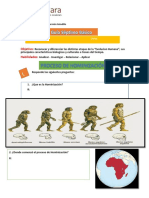 Guia Hominizacion 7mo