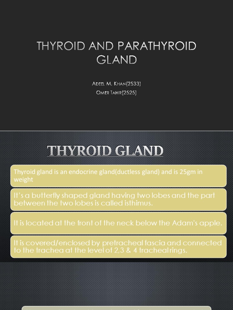 Thyroid And Parathyroid Gland Pdf