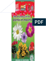 Libro de Produccion de Plantas en Maceta - Floricultura