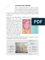 Exploracion Del Estómago y Duodeno - Clínica