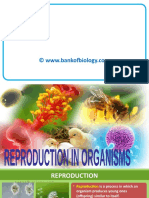 1 Reproduction in Organisms