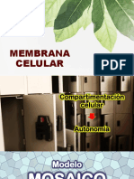 02.1 Membrana Celular