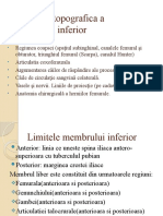 Anatomia Topografica a Membrului Inferior