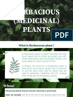Herbacious Plant