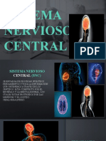 Sistema Nervioso Central SNC