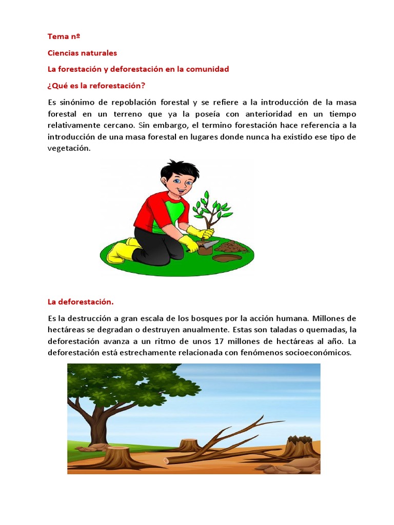 Reforestación y Deforestación para Niños | PDF
