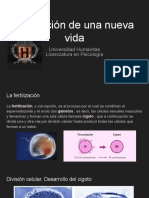 Formación de Una Nueva Vida