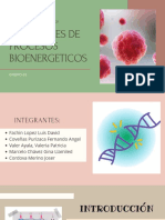 Inhibidores de Procesos Bioenergeticos