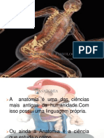 Anatomia Fisiologia 40
