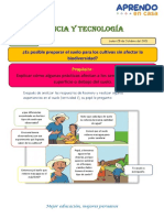 Ficha Ciencia y Tecnologia 14