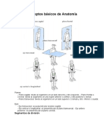 Edited - Conceptos Básicos de Anatomía (Colegio)