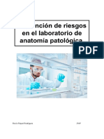 Riesgos en El Laboratorio de Anatomia Patológica