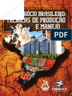 Livro Agronegocio Brasileiro Completo