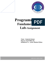Programming: Fundamentals Lab