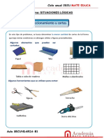 SITUACIONES LÓGICAS - Problemas Sobre Seccionamiento y Cortes