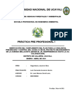 Informe de Practicas Pre Prosionales - Ascencio Garcia Luis Fernando