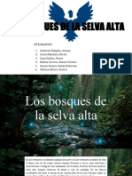 LOS BOSQUES DE LA SELVA ALTA