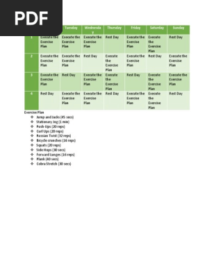 fitness plan