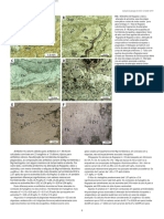 Daniel - Garcia Et Al 2020 The Neoarchean GT-34 Ni Deposit, Carajás Mineral Province (08-14) .En - PT