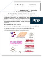 Atividade de Geografia - 4º Ano (09-09) - Classe